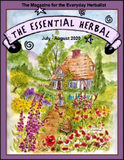July August 2020 cover from the essential herbal magazine.  Cottage in the woods with foxgloves, poppies, and trees watercolor debra sturdevant