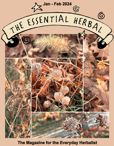 Essential Herbal January/February 2024