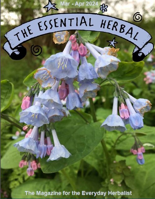 March April 2024 Essential Herbal (digital)