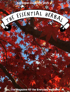 Subscriptions (Digital Only)