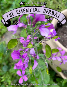 May June 2024 Essential Herbal - digital