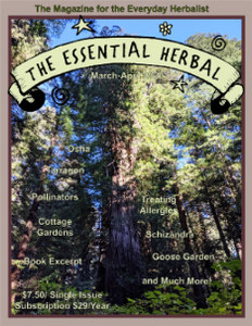 March April 2020 Essential Herbal (digital)