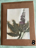 Botanical Print Notecards