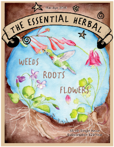 March April 2016 PDF - The Essential Herbal