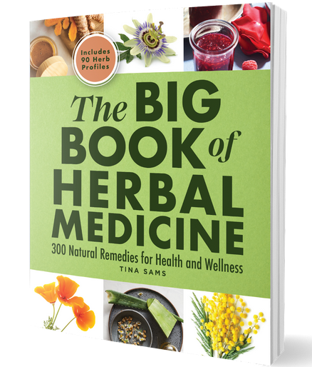 The BIG Book of Herbal Medicine