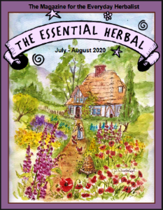 July August 2020 cover from the essential herbal magazine.  Cottage in the woods with foxgloves, poppies, and trees watercolor debra sturdevant